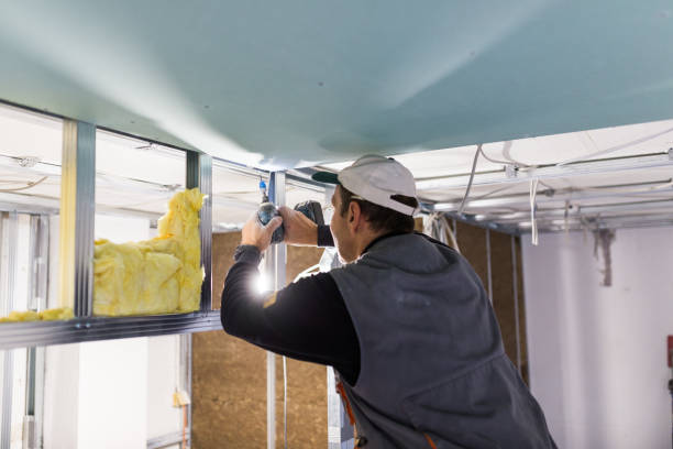 Best Eco-Friendly Insulation in Hawaiian Ocean View, HI