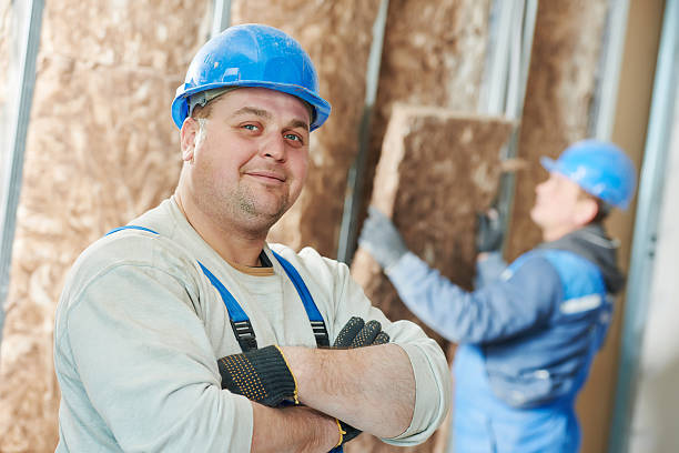 Types of Insulation We Offer in Hawaiian Ocean View, HI